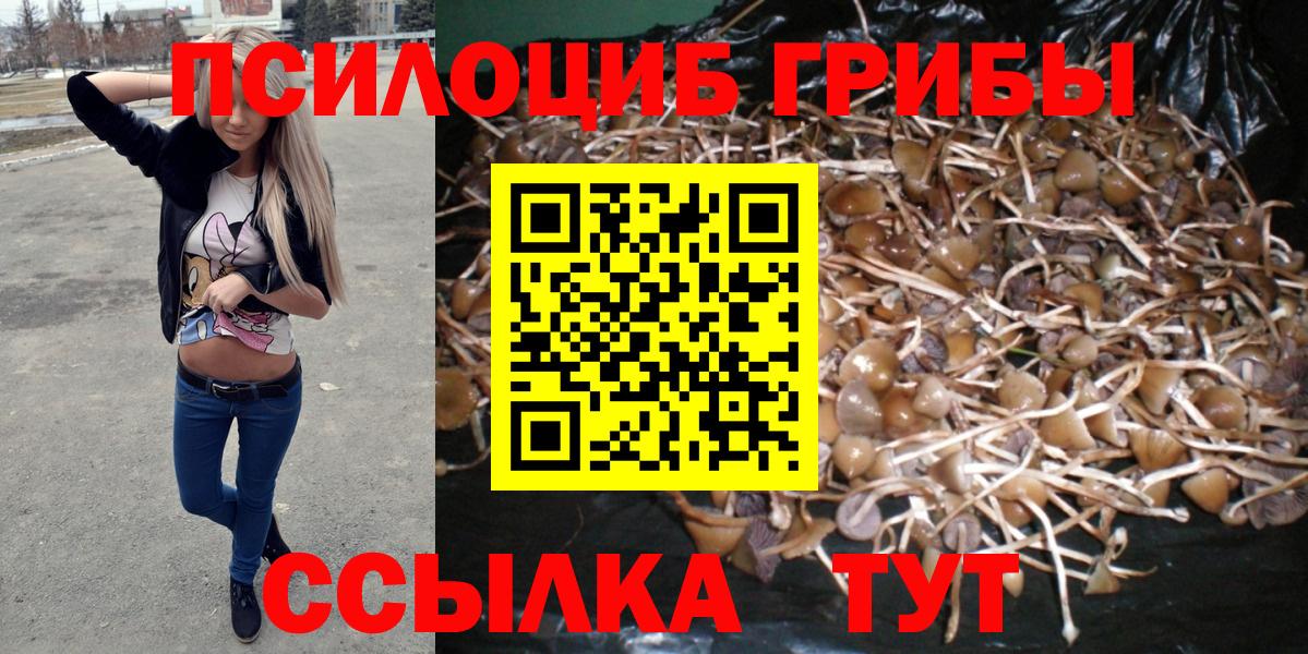 Будённовск  Псилоцибиновые грибы прущие грибы  Вход с VPN 