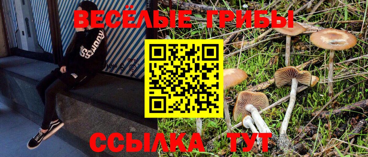 Галлюциногенные грибы мухоморы Будённовск
